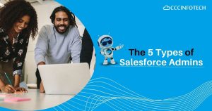 The 5 Types of Salesforce Admins